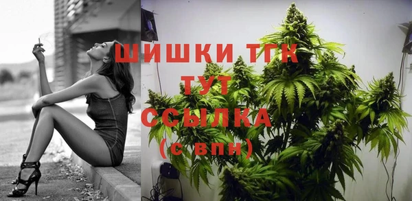 гидропоника Верея