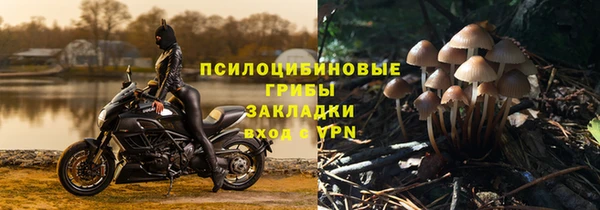 герыч Верхний Тагил