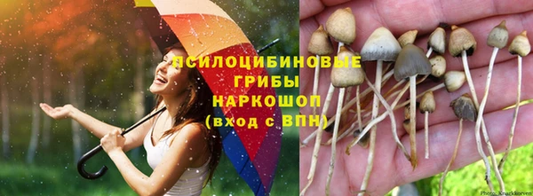 гидропоника Верея